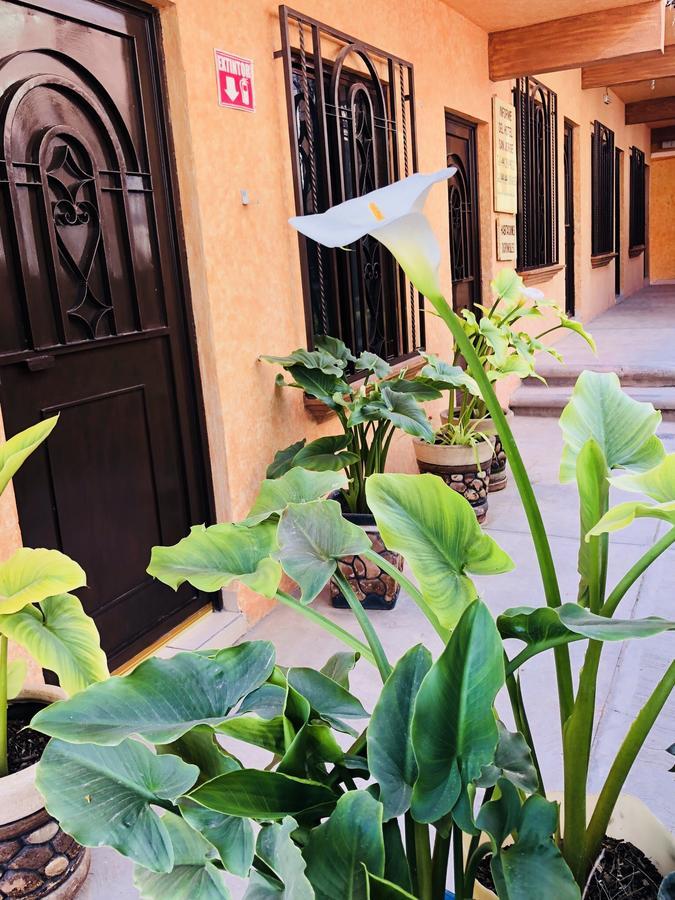 Hotel Posada San Jorge Bernal Luaran gambar